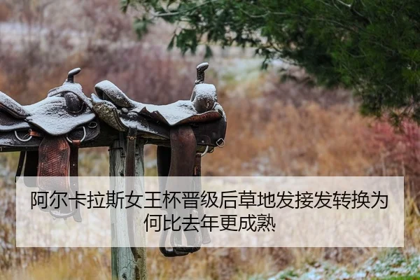 a-er-ka-la-si-nv-wang-bei-jin-ji-hou-cao-di-fa-jie-fa-zhuan-huan-wei-he-bi-qu-nian-geng-cheng-shu-2-199.jpg