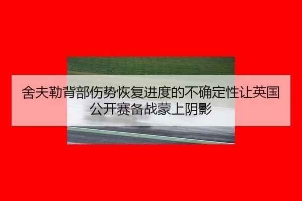 she-fu-lei-bei-bu-shang-shi-hui-fu-jin-du-de-bu-que-ding-xing-rang-ying-guo-gong-kai-sai-bei-zhan-meng-shang-yin-ying-3-456.jpg
