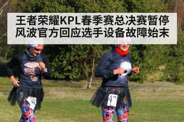 王者荣耀KPL春季赛总决赛暂停风波官方回应选手设备故障始末
